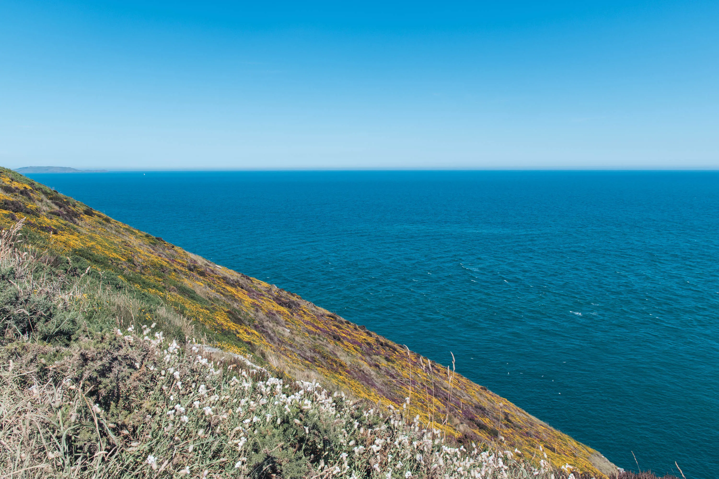 Cliff with flowers