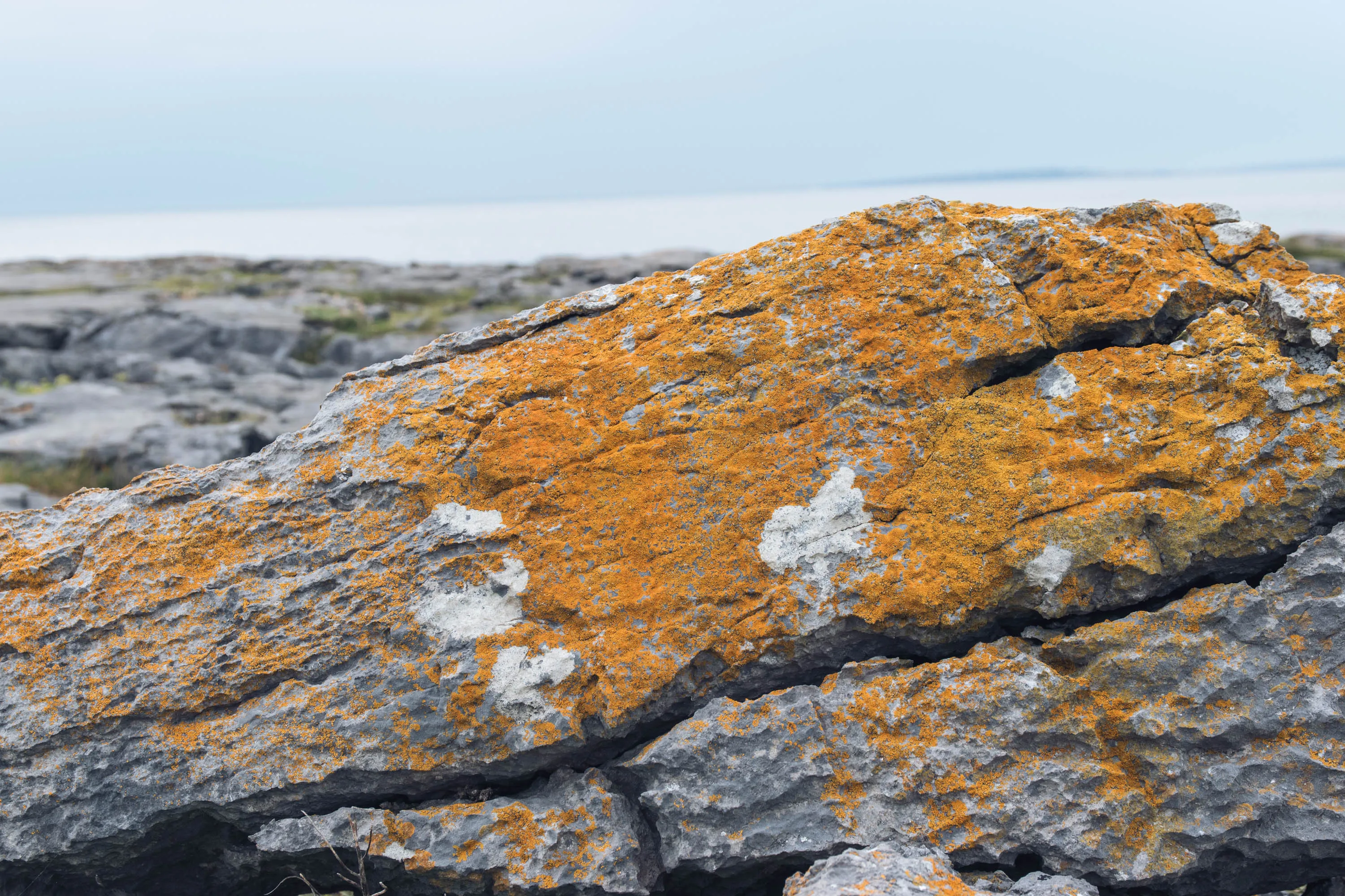 A rusted rock